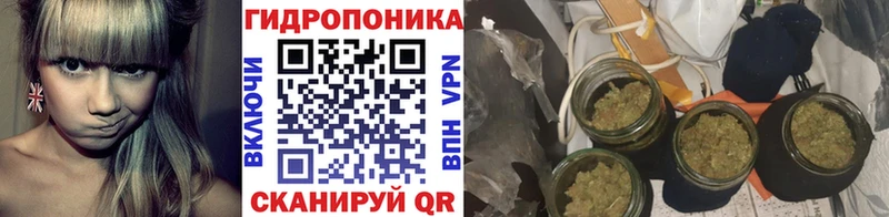 Виды наркотиков купить Аша blacksprut как войти  Меф  Псилоцибиновые грибы  ГАШ  СОЛЬ  МАРИХУАНА 