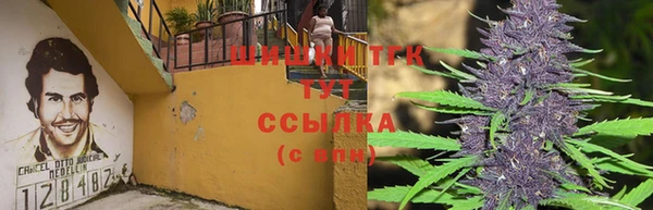 jwh Армянск